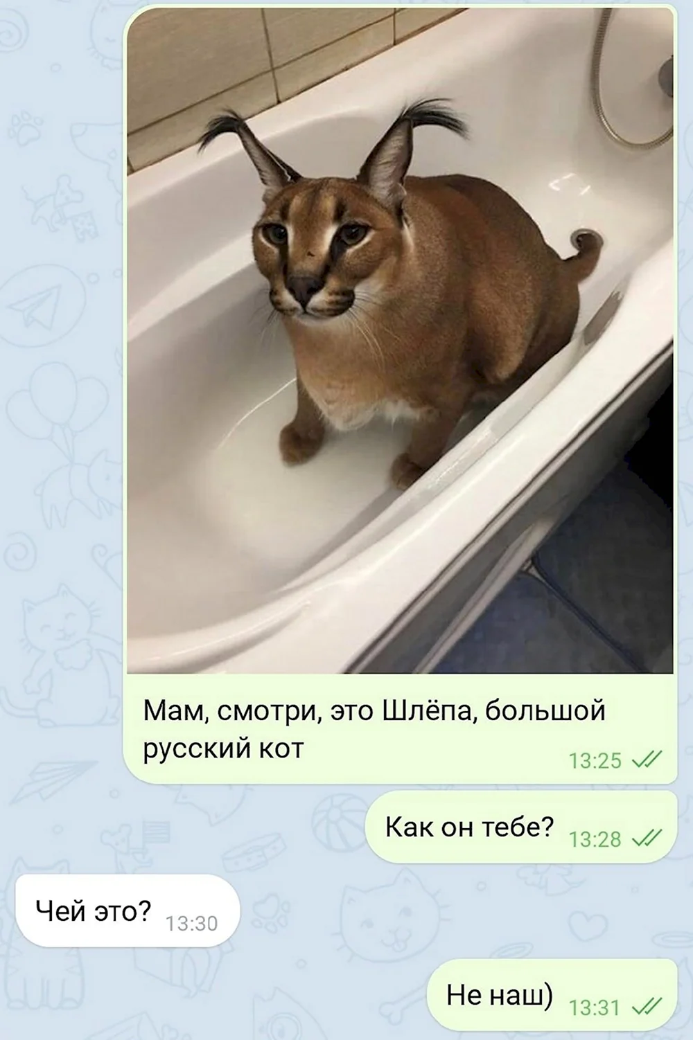 Кот Шлепа игрушка