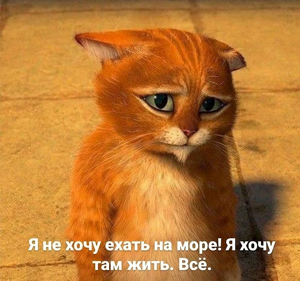 Кот Шрек