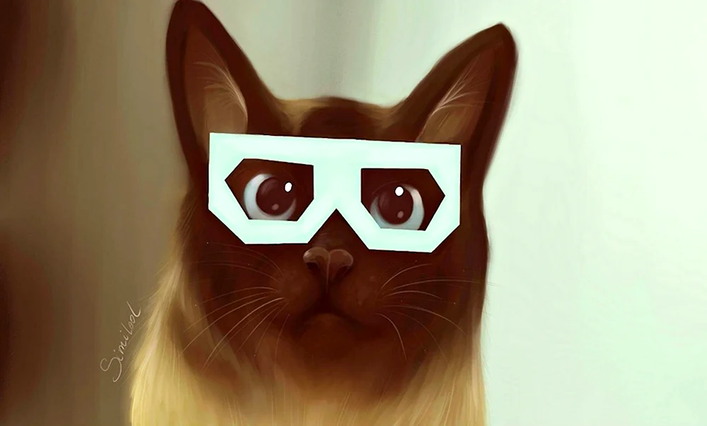 Кот в бумажных очках