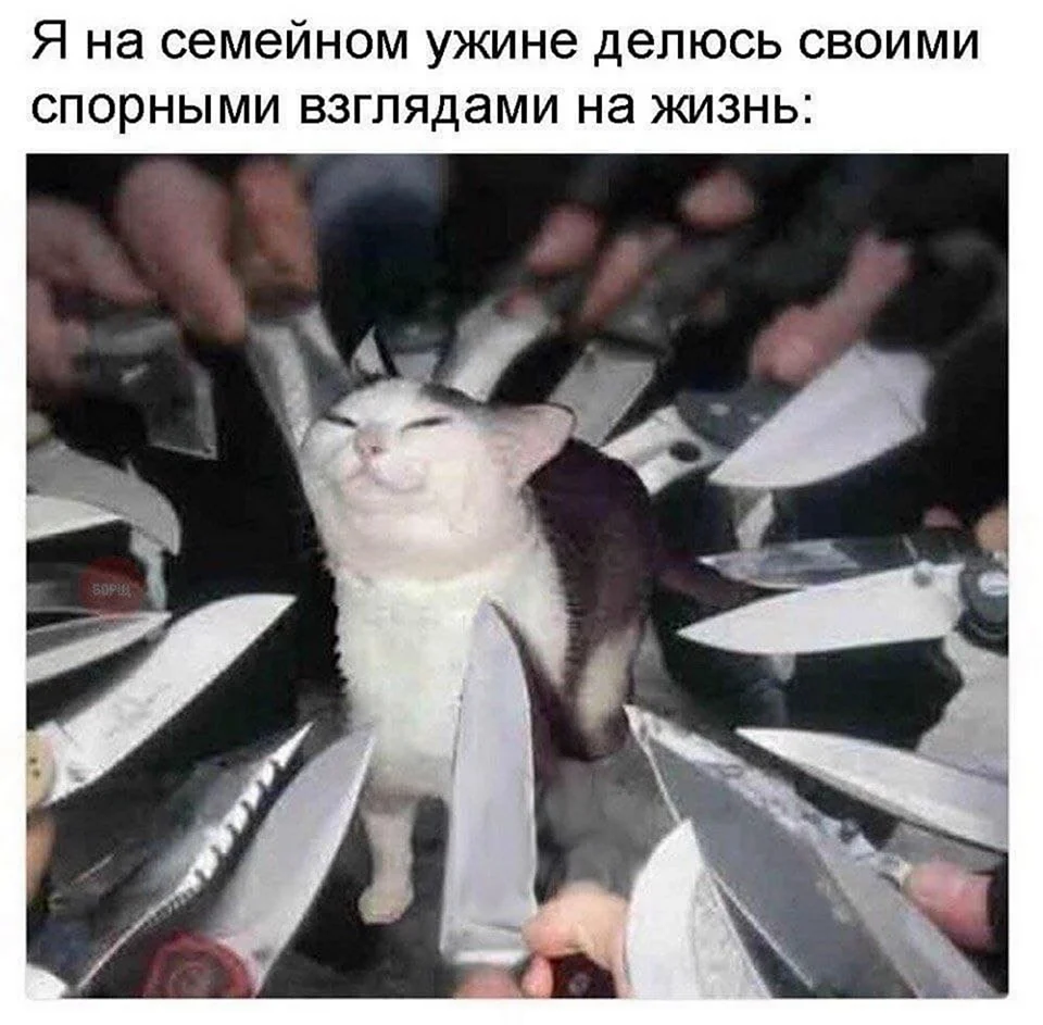 Кот в окружении ножей