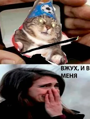 Кот вжух