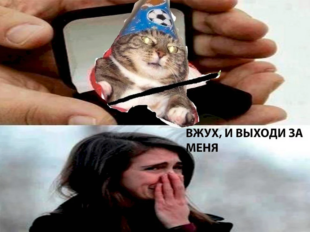 Кот вжух