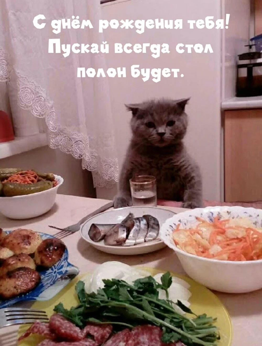 Кот за столом