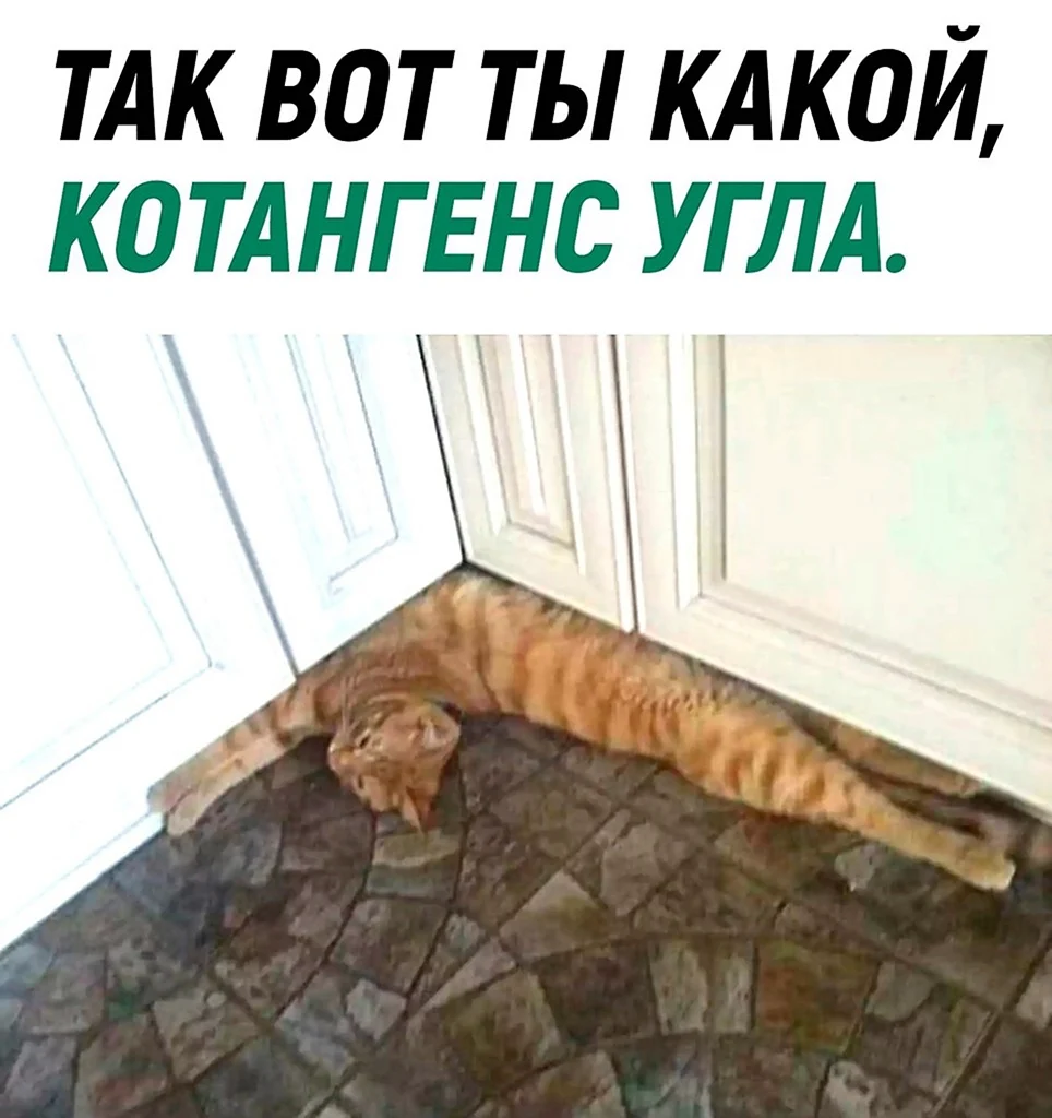 Котангенс угла прикол