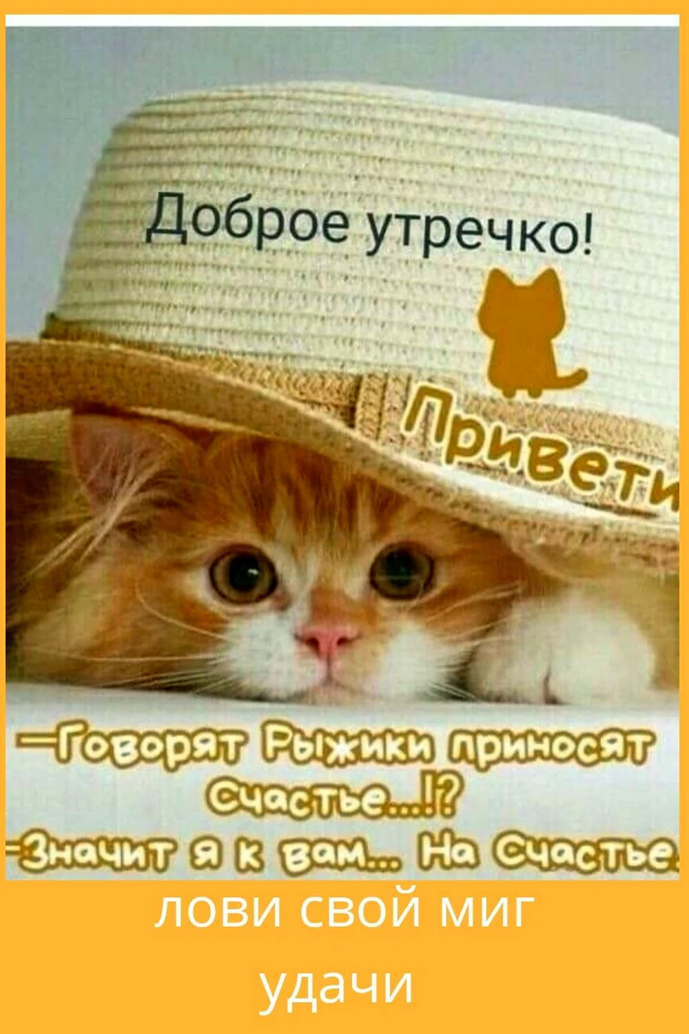 Котенок в шляпе