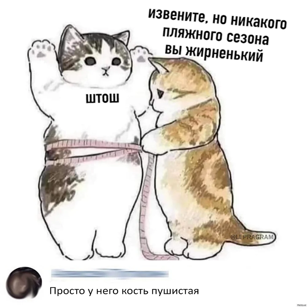 Котик вы жирненький