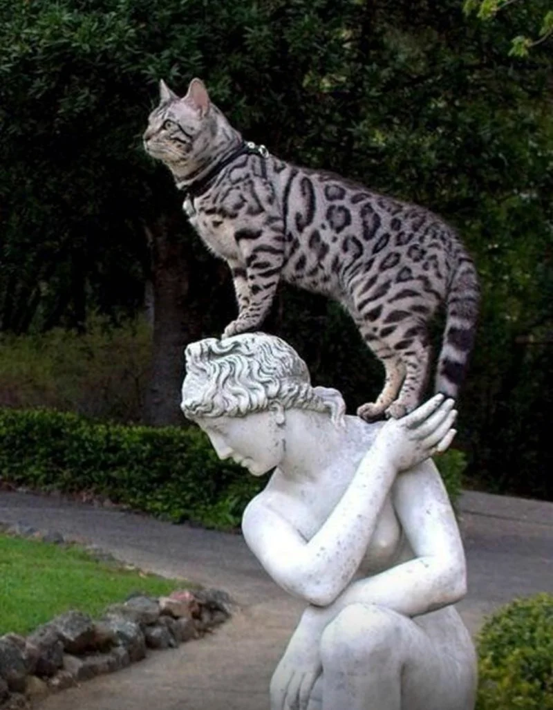 Коты скульптура