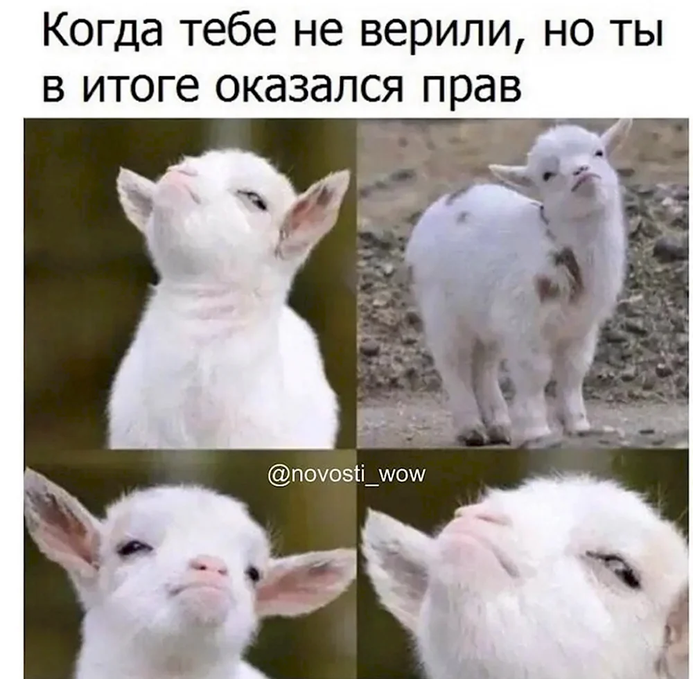 Коза Мем