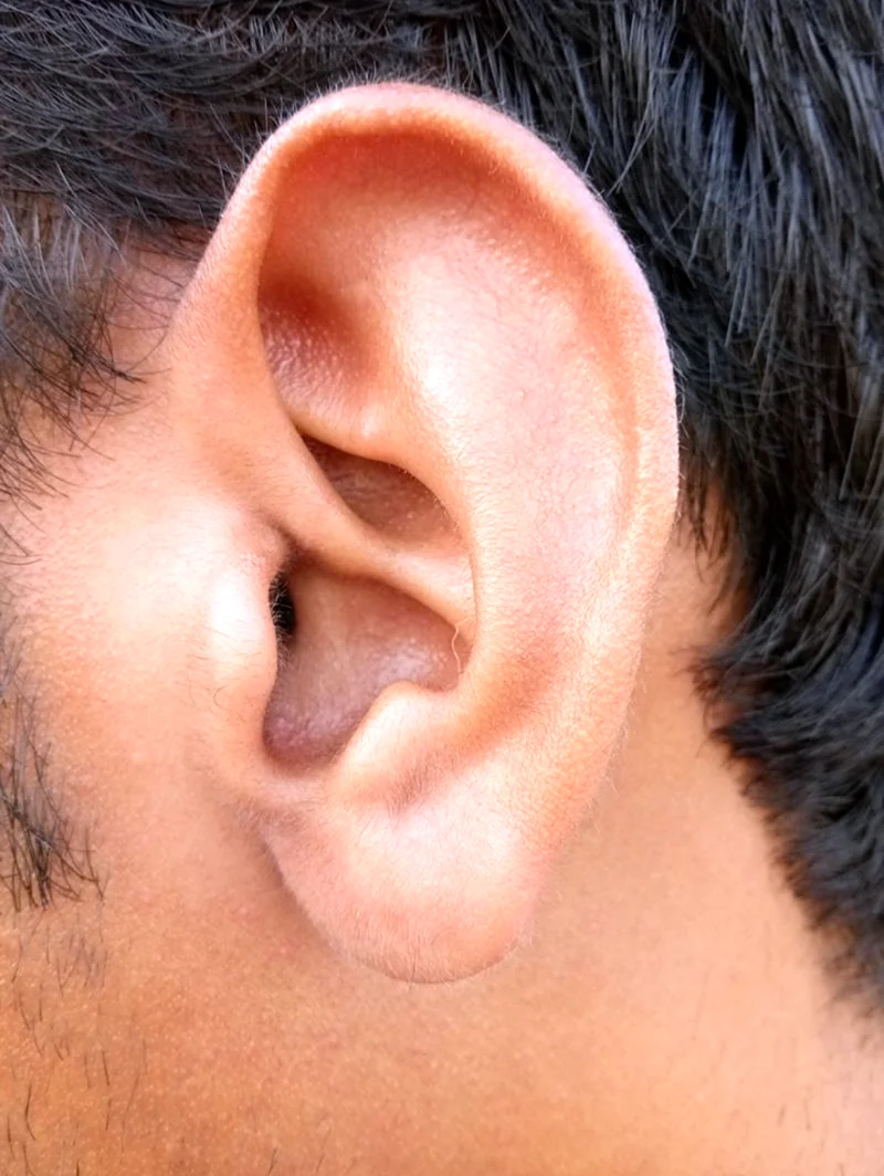 Красивая форма ушей