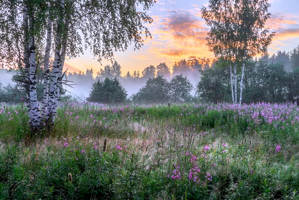 Красивая русская природа