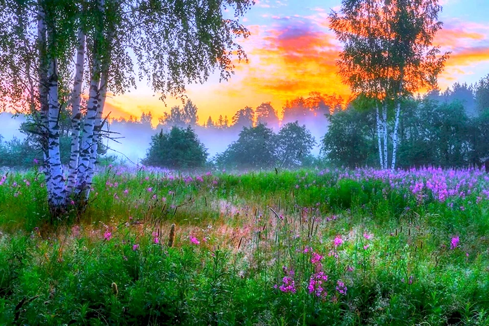 Красивая русская природа