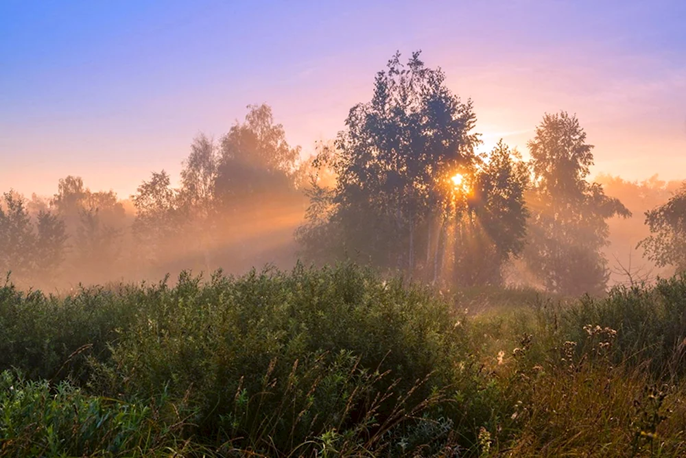 Красивое утро