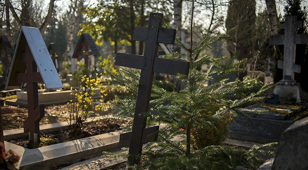 Красная горка кладбище Всеволожск