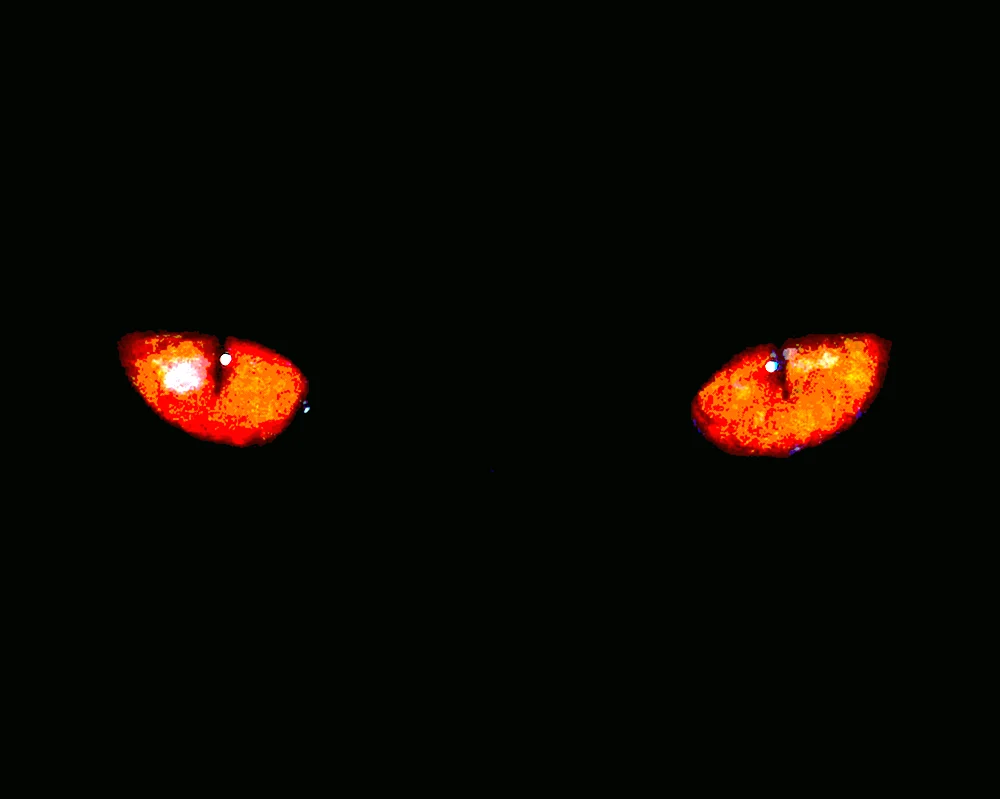 Красные глаза в темноте