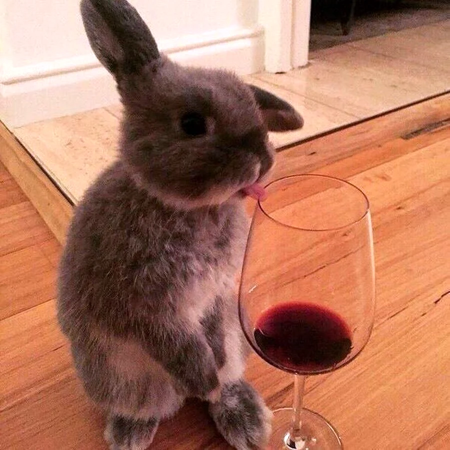 Кролик с вином