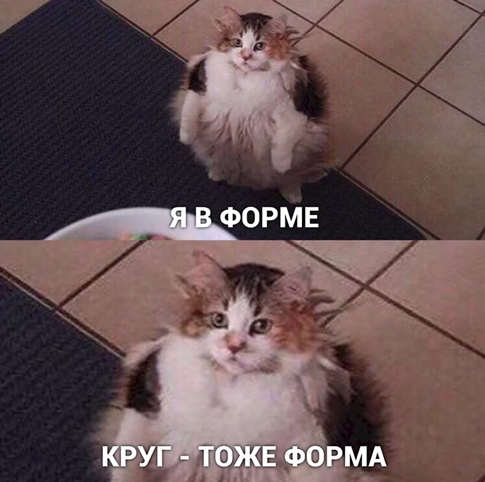 Круг тоже форма