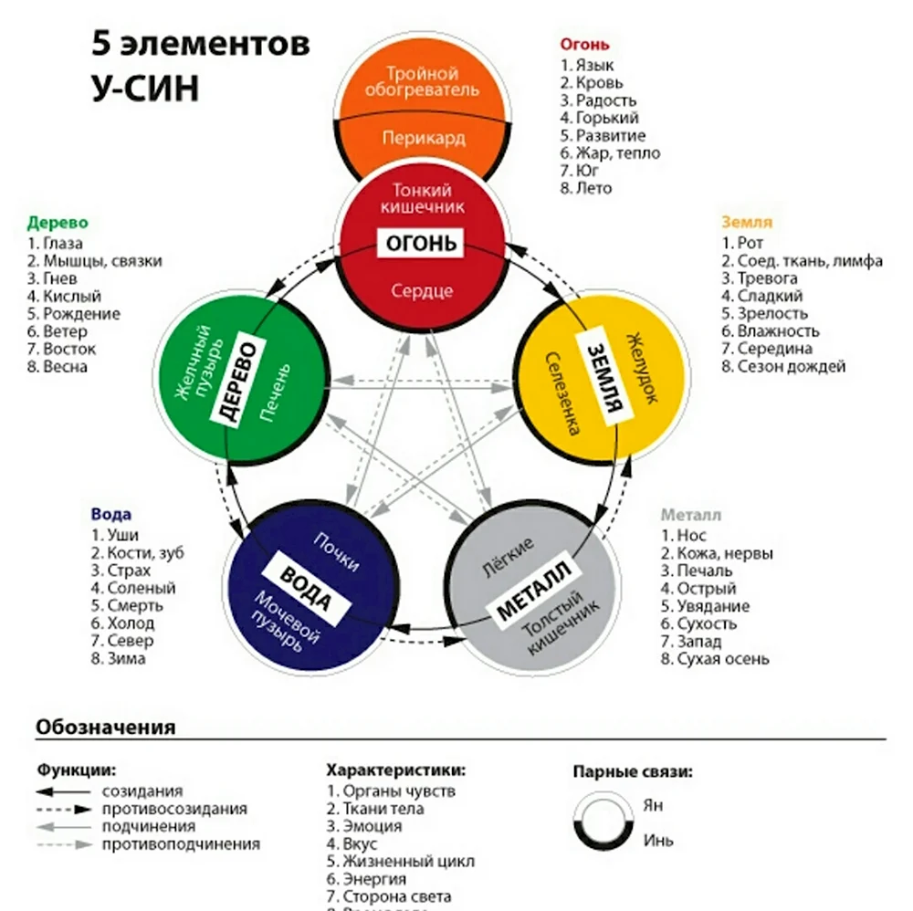 Круг у-син 5 элементов