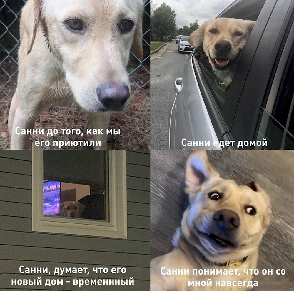 Крутые и смешные шутки