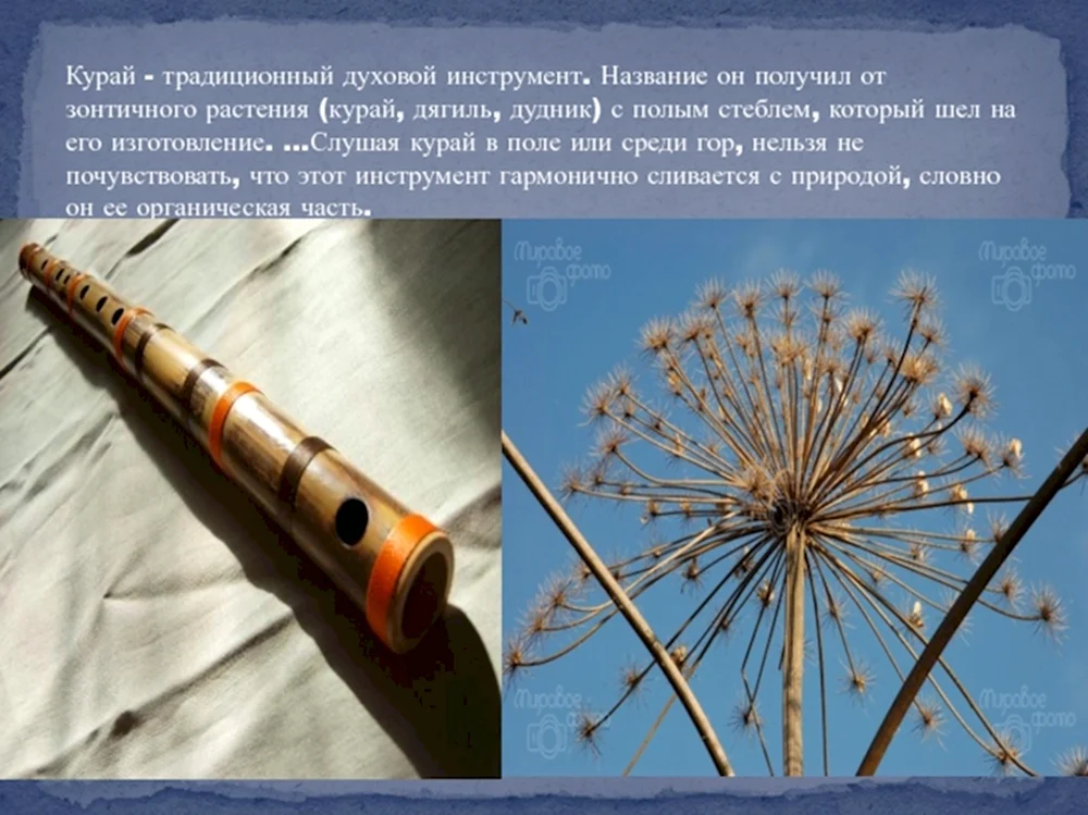 Курай духовой музыкальный инструмент