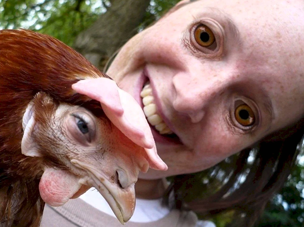 Курица с человеческими глазами