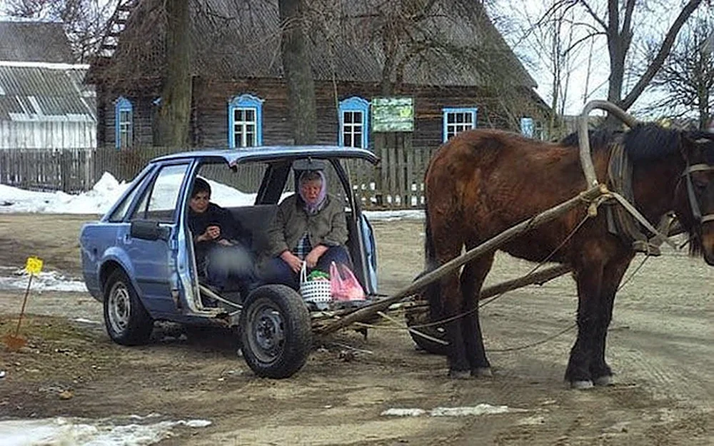 Лада конина