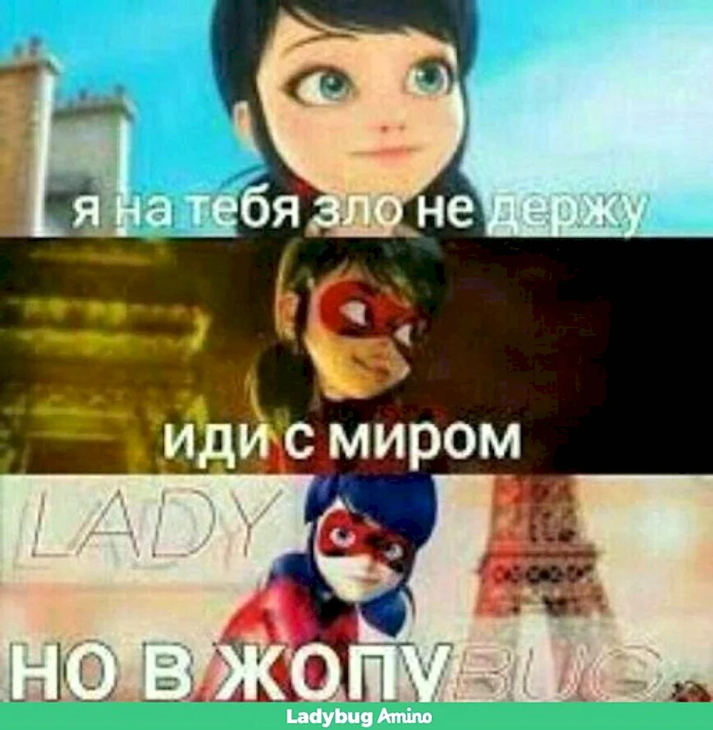 Леди баг приколы