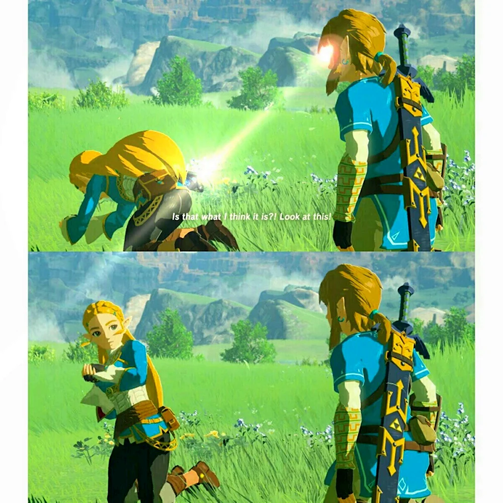 Legend of Zelda Breath of the Wild Мем