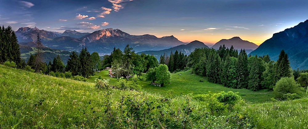 Лес горы панорама