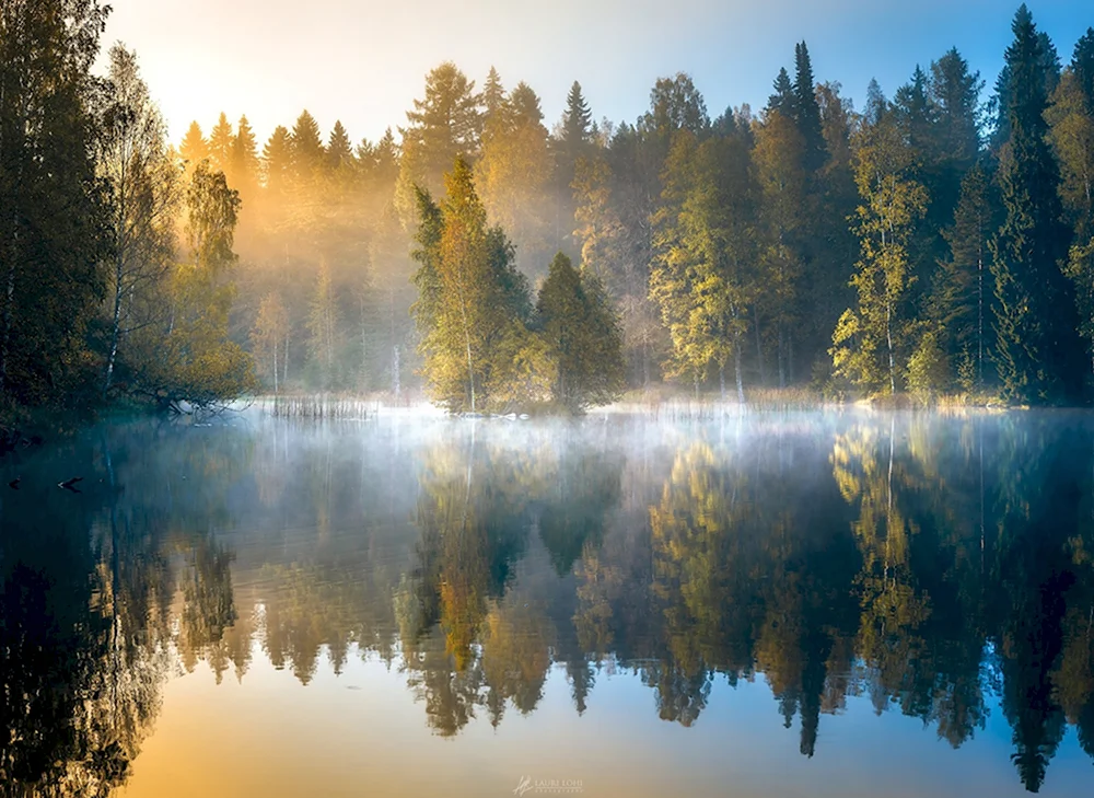 Лесное озеро Forest Lake