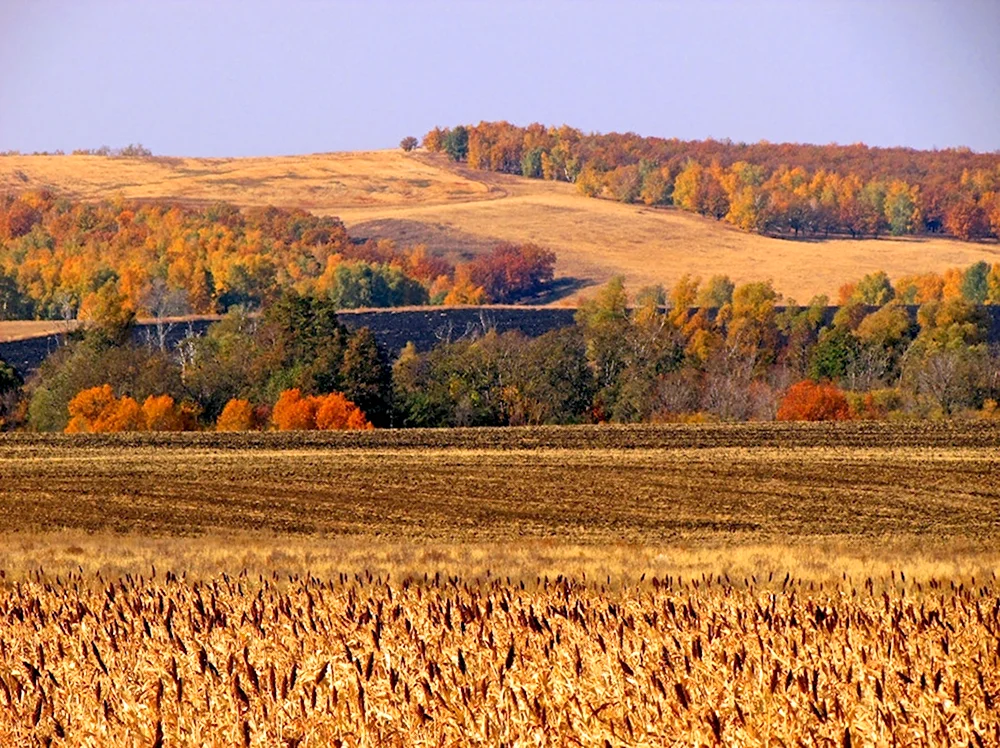 Лесостепь России