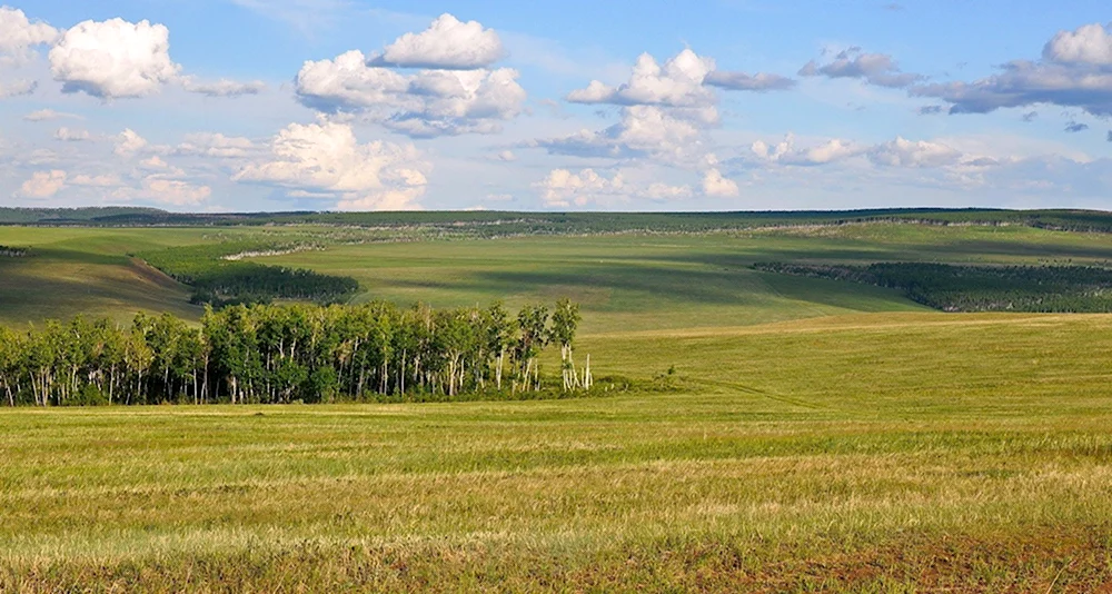 Лесостепь Забайкальский край