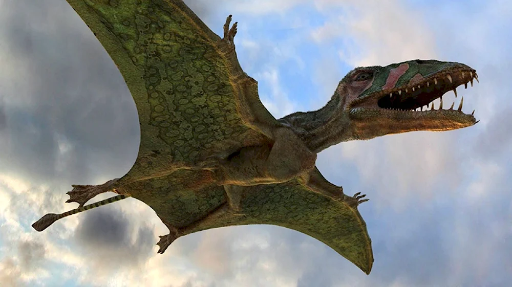 Летающий динозавр Диморфодон
