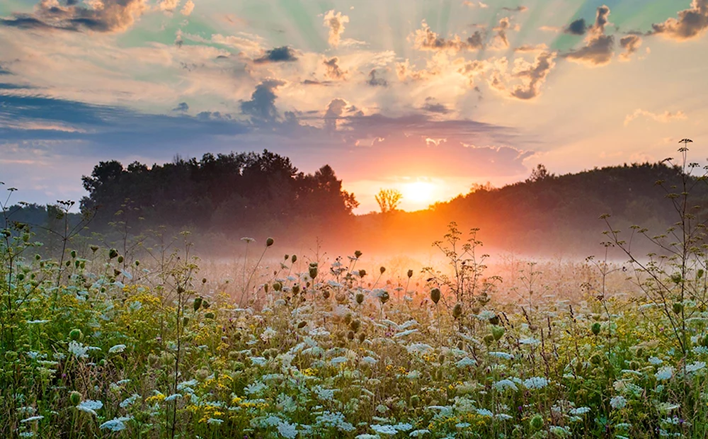 Летний рассвет