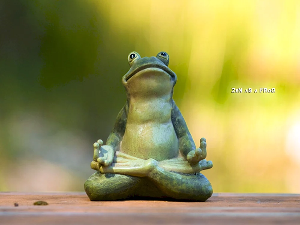 Лягушка медитирует