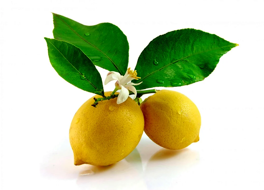 Лимонад мандарин юдзу