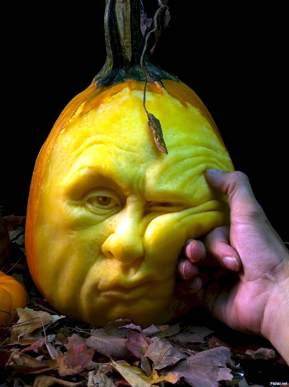 Лицо из овощей