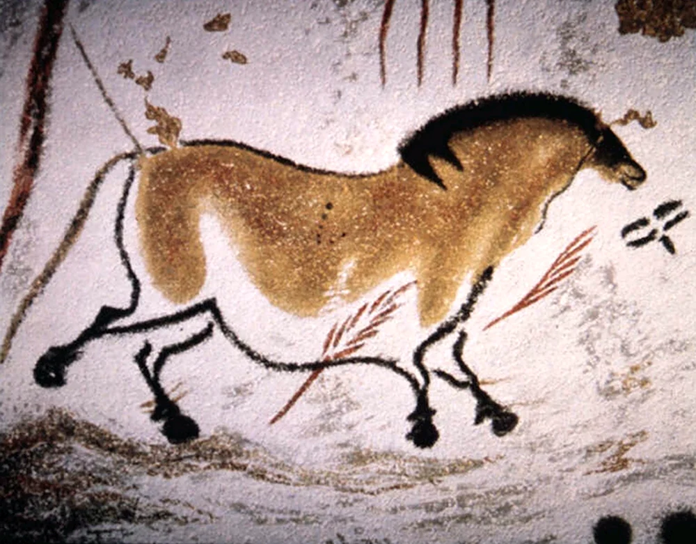 Лошадь Пржевальского пещера Ласко