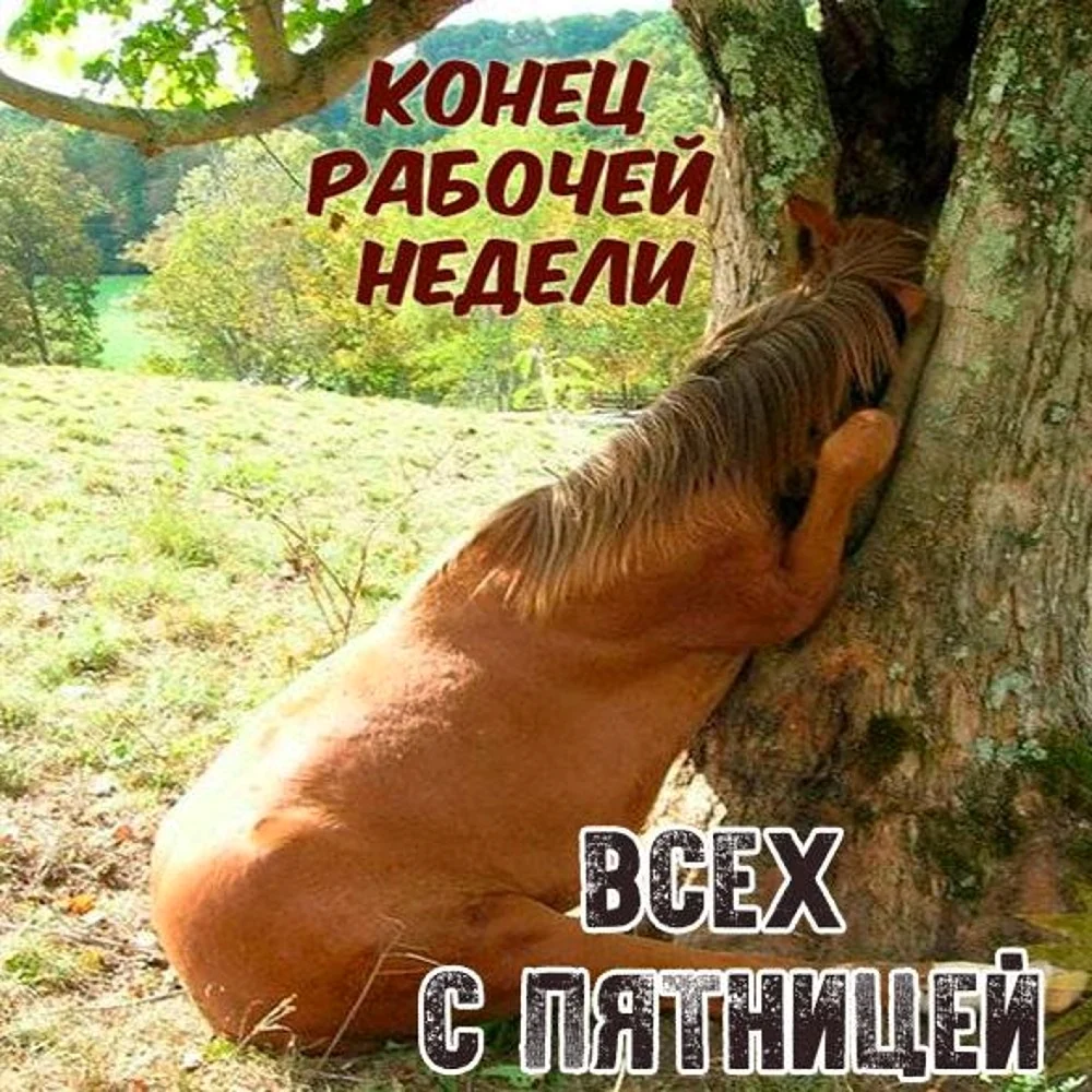 Лошадь в пятницу