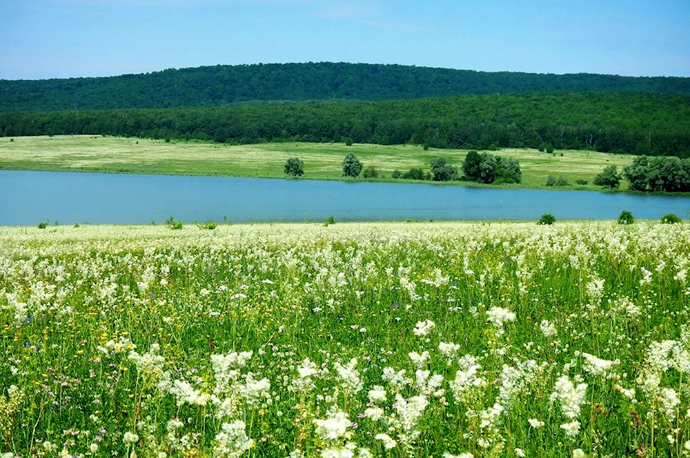 Луга деревни Башкирия