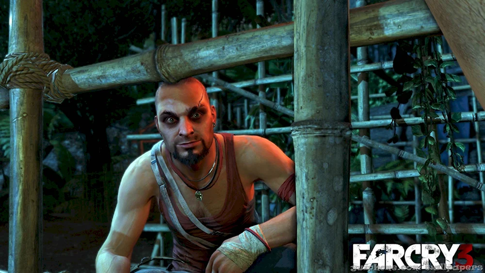 Майкл Мэндо far Cry 3