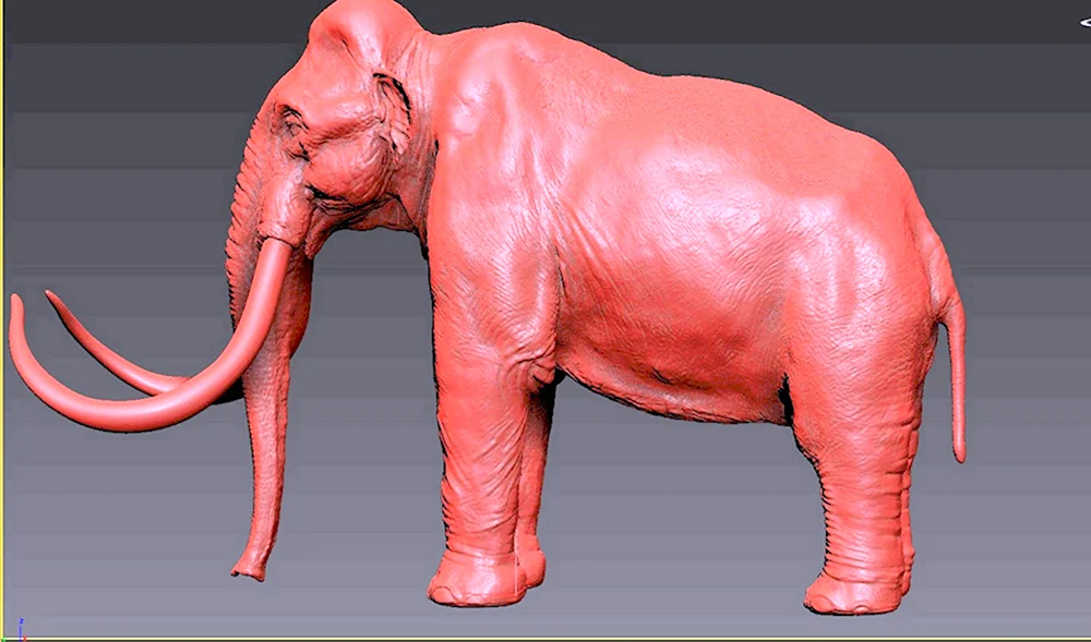 Mammoth 3d