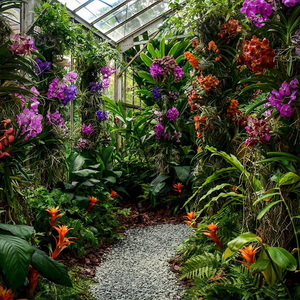 Marie Selby Botanical Gardens