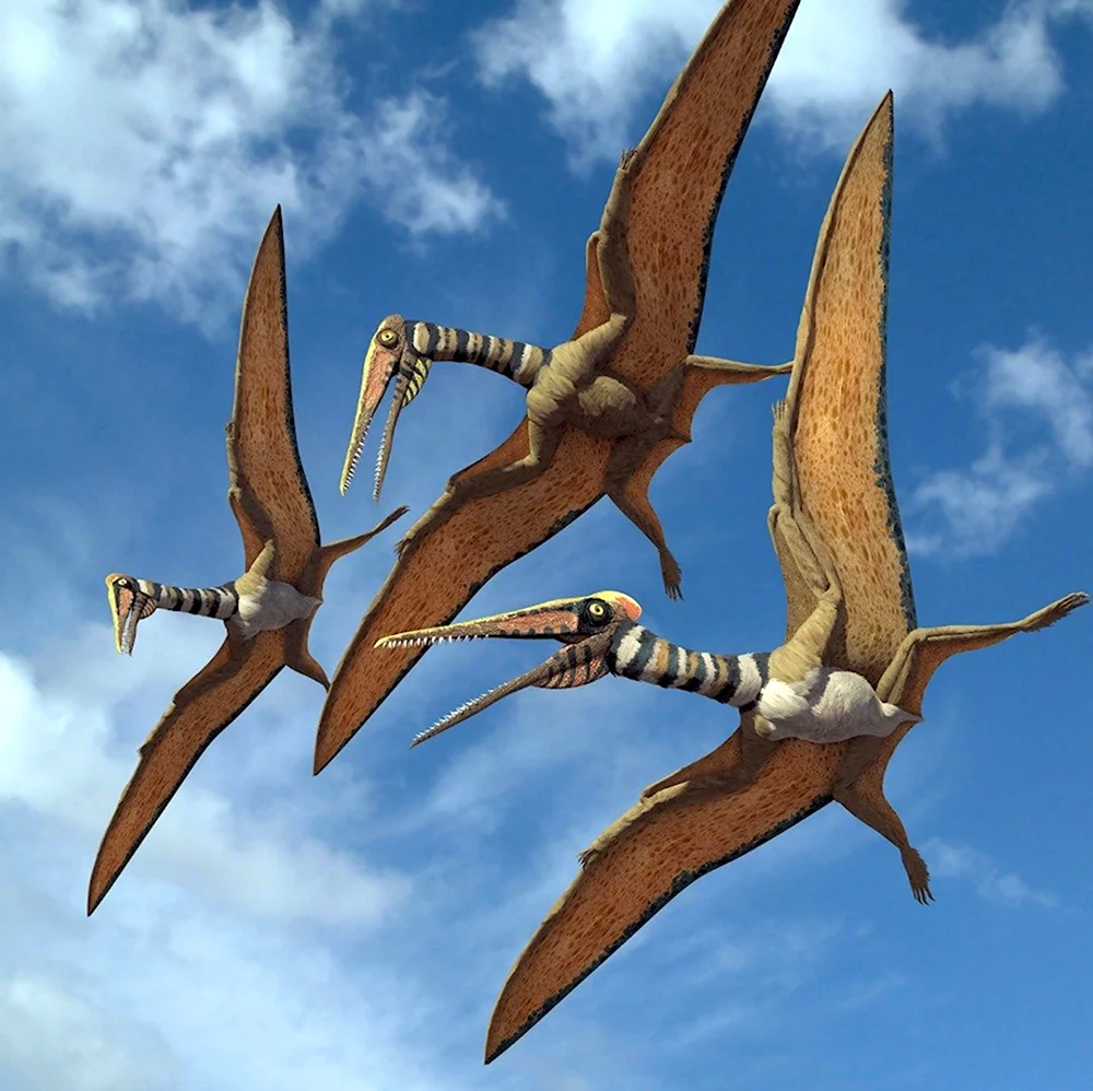 Марк Уиттон птерозавры