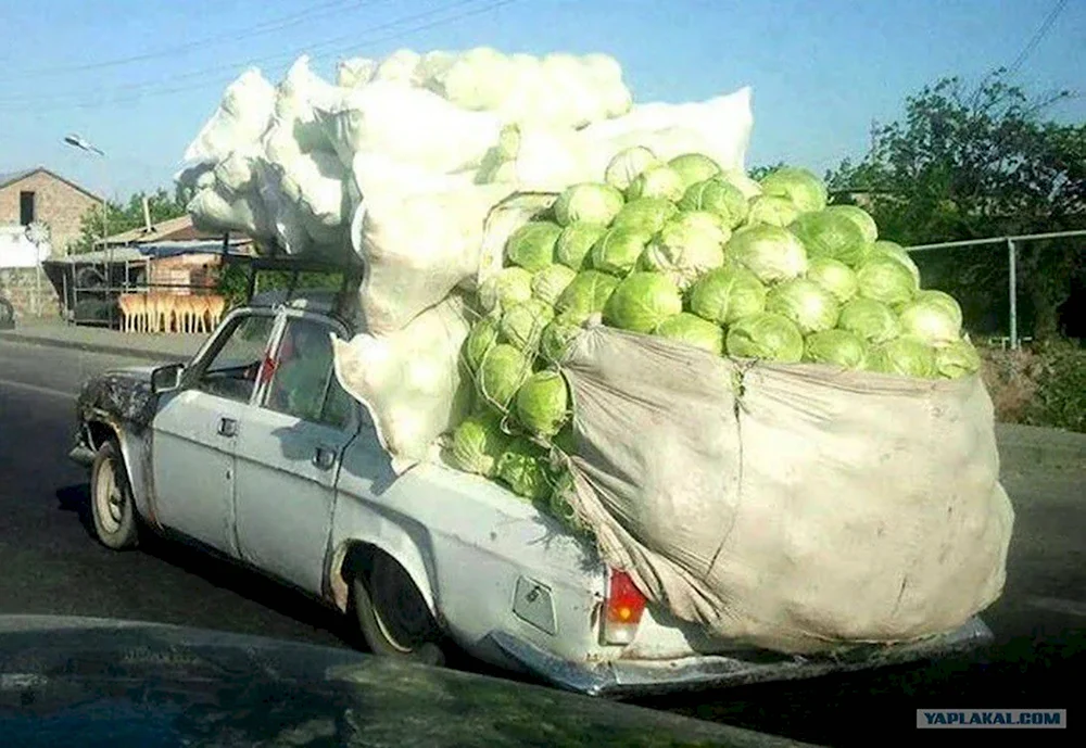 Машина груженная овощами