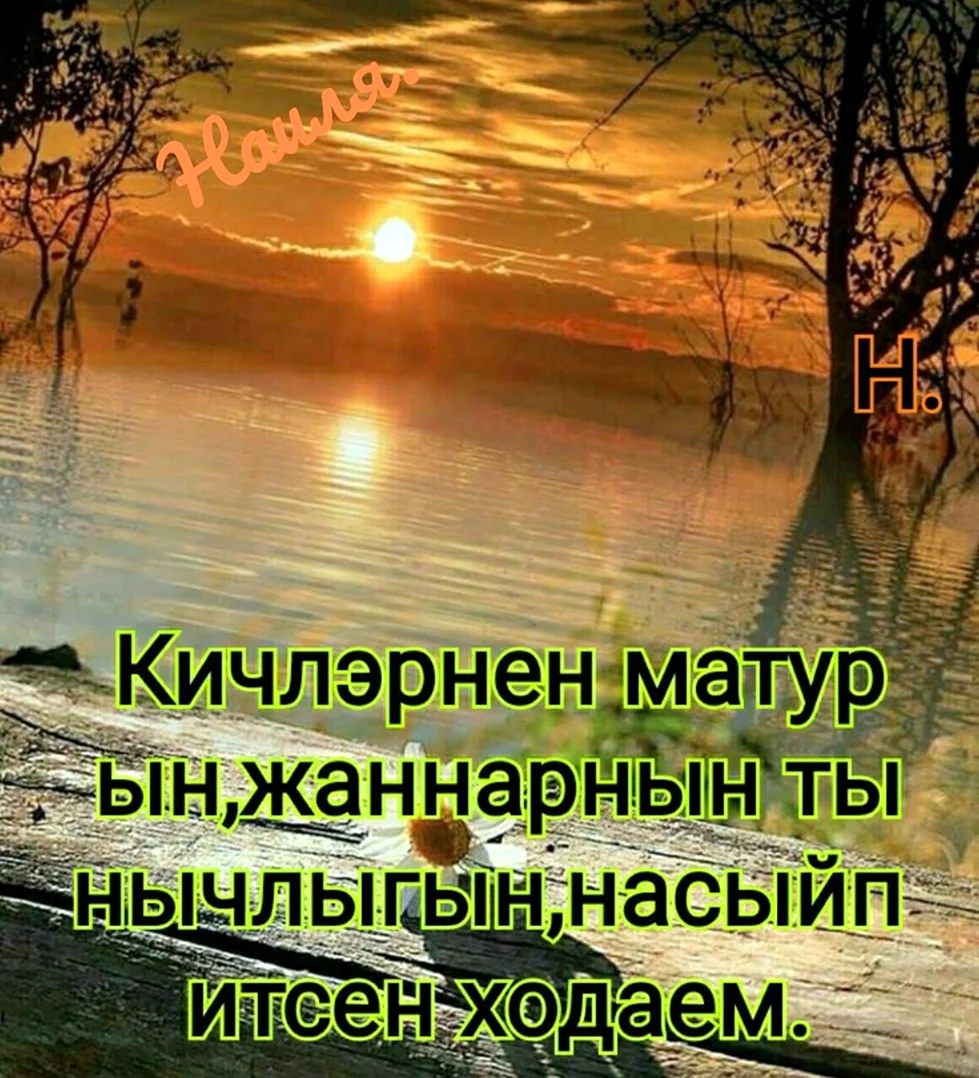 Матурларым