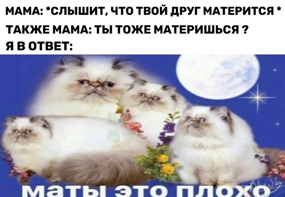 Маты это плохо коты