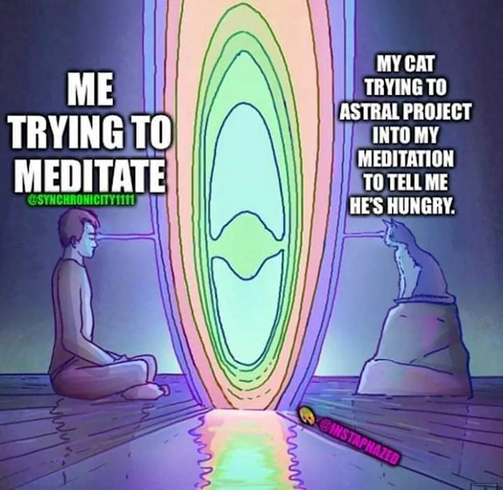 Медитация Мем