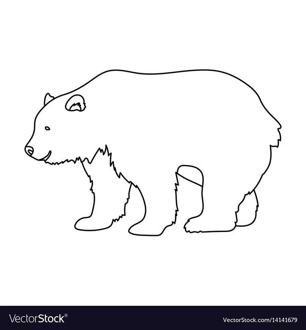 Медведь контурный рисунок