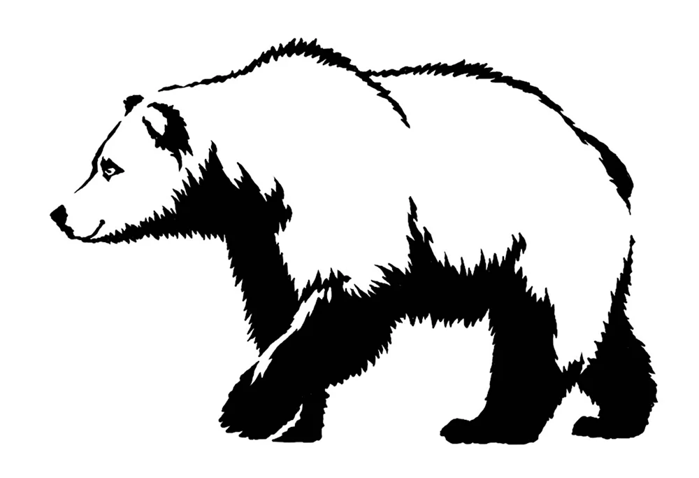 Медведь растровое изображение