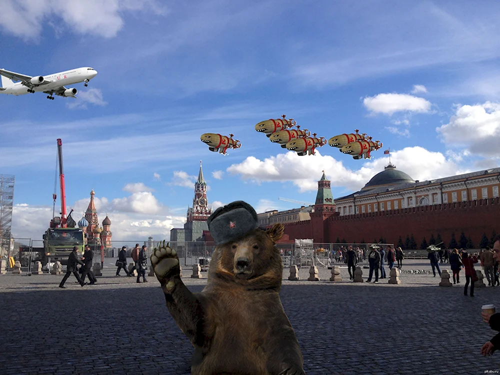 Медведь Россия
